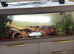 Beautiful ball python for sale