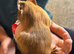 Guinea Pig Babies for sale