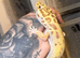 Leopard geckos