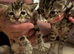 Bengal kittens mum & dad owned by us