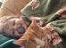Ginger and white female kitten
