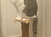 Riri- 1 year old female Tabby and White mixed cat!