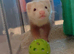 2 lovely boys need a new home. All accessories included.