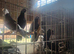 Pigeons