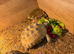 3yr old Horsfield tortoise