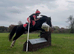 Registered 13hh Welsh B, 9 year old, Gelding.
