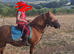 12.2 Dartmoor hill pony for sale