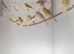 Canaries