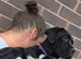 beautiful female cane corso