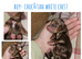 7 mini dachshund pups