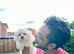 Korean line Maltese puppy