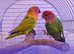 Beautiful bonded pair of lovebirds & cage