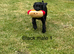 Cocker spaniel puppies *3 left*