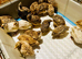 Jumbo Coturnix Quail