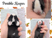 3 beautiful mini lops