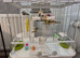 Vision Cage/Home for Birds Regular, 60.9 x 38.1 x 52 cm, Medium