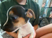 Beautiful girl looking for a home