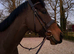 Full Loan wanted - Meet Apollo