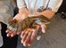 Maruke blue tounge skink