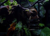 &pound;250 Exo terra 60x45x90 large/tall bioactive set up
