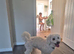 Bichon Frise male