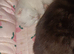 3 male maincoon kittens for sale