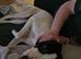 Rehome
