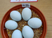 Cream Legbar Chicks Chickens Sexed Blue Eggs