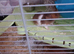 Hamster with cage