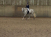 Sensible Competition Mare