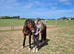 2 YEAR OLD GELDING