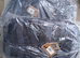 Dog bedding