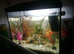 2 fish tanks for sale