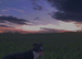 Male dog