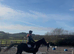 Dancer 15:2 British Riding Pony
