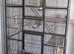 Large Bird cage