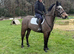 Sparrow, exceptional all rounder type