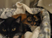 Bonded mum and daughter Kitty and Biscuit