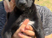 Last 2 boys looking for there for ever homes