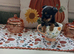 Tea cup toy yorki puppies