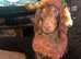 Miniature dashhound stud