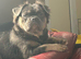 Heartbreaking sale of beautiful boy