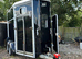 Ivor Williams horse trailer 2011