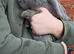 Pure bred Mini Lop *Vaccinated* Lilac Buck For Sale
