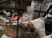 Two female ferrets for new home due to alergys