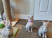 Very Beautiful TICA Registered Bengal Kittens.