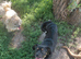 HOPE – From Death Row to a Heart Full of Hope