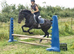 Sweet allrounder
