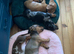 Miniature dachshund puppies