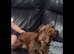 Loverly 7 month old girl